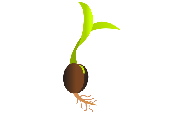 Kinder Phase seed விதை icon